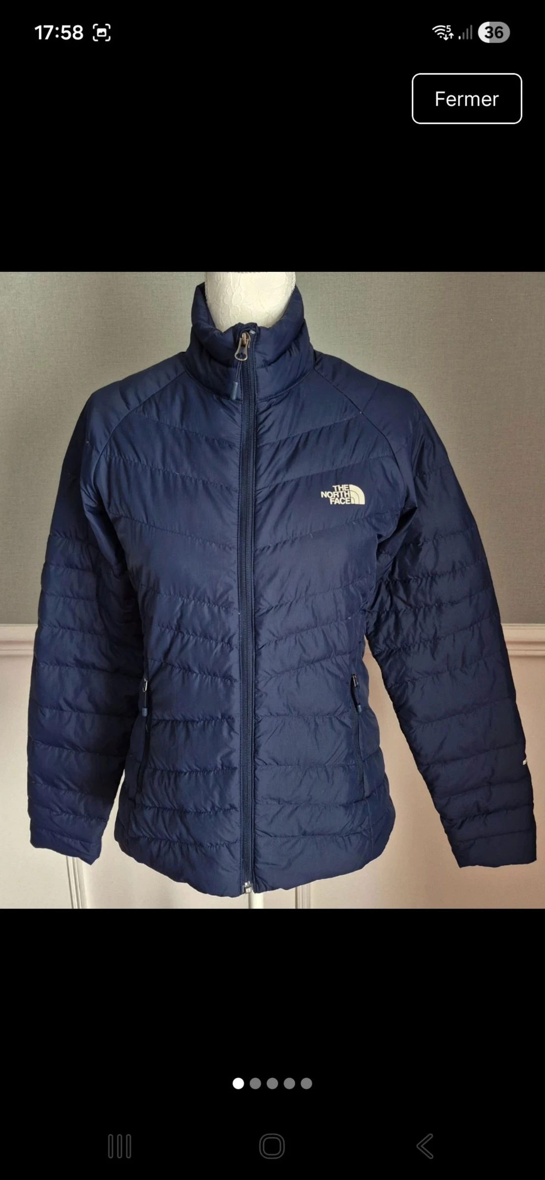 Veste The North Face 